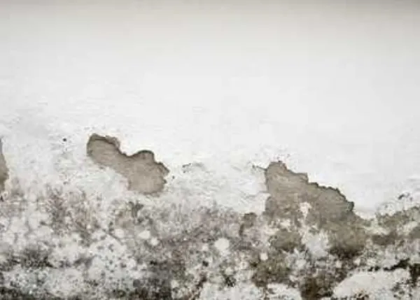 Tratamiento de humedades por capilaridad en Sabadell — pared saneada tras electroosmosis